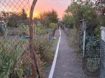 IMG-20261005-WA0029