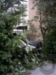 2006_05_20_sturmschaden (7)