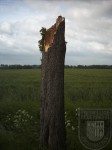 2006_05_20_sturmschaden (2)