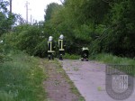 2006 05 20 Sturmschaden (21)