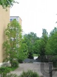 2006 05 20 Sturmschaden (13)