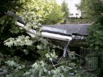 2006_05_20_sturmschaden (6)