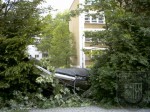 2006 05 20 Sturmschaden (8)