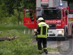 2006_05_20_sturmschaden (14)