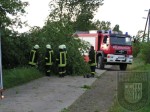 2006 05 20 Sturmschaden (18)