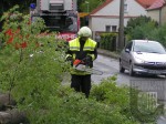 2006_05_20_sturmschaden (16)