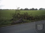 2006_05_20_sturmschaden (1)