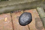 20131216IMG_0943