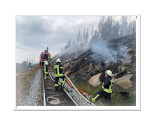 teaser waldbrand brocken