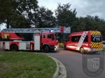 k-30.08 (6)