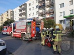 k-18.03.2024 (11)