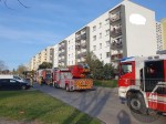 k-18.03.2024 (14)