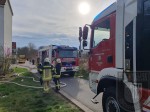 k-18.03.2024 (38)