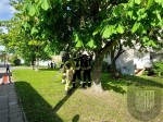 k-27.04.2024 (2)