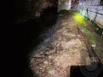 k-20.03.2025 (8)