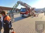 1.Halbjahr (31)